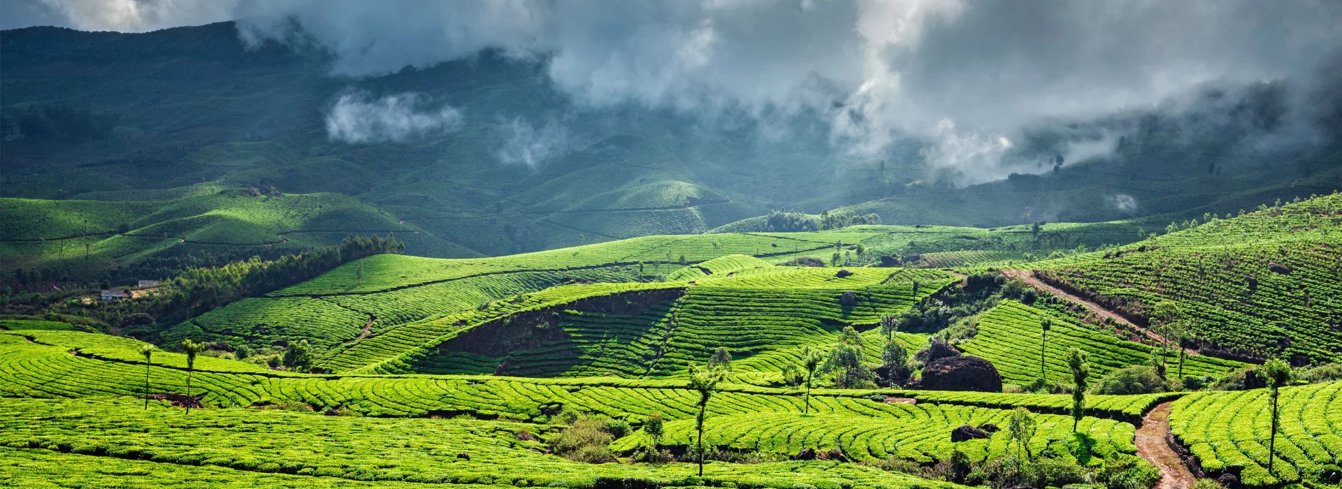 Discover Blissful Kerala